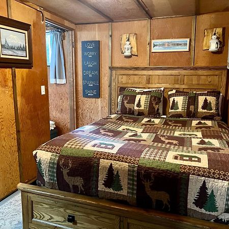 Mt Rainier Little Green Cabin On Big Creek! أشفورد المظهر الخارجي الصورة