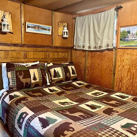 Mt Rainier Little Green Cabin On Big Creek! أشفورد المظهر الخارجي الصورة