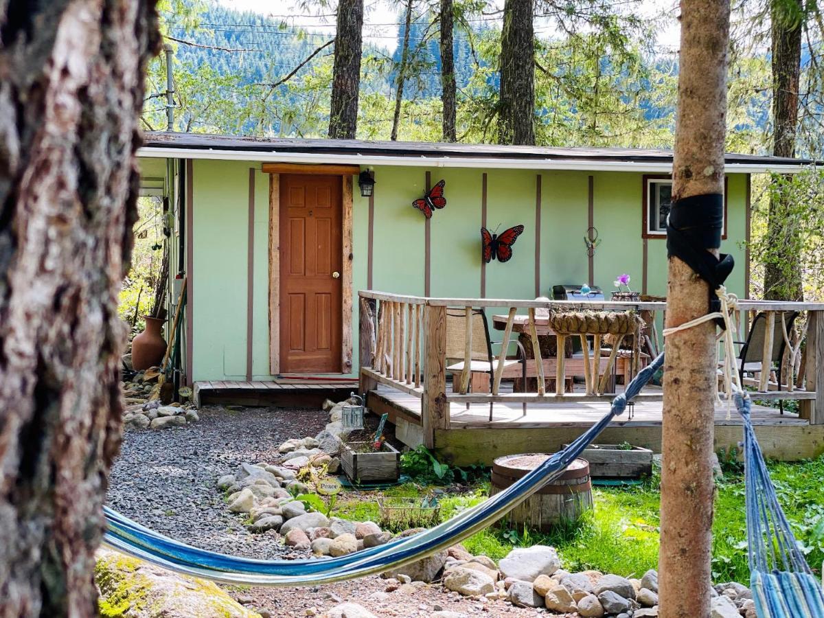 Mt Rainier Little Green Cabin On Big Creek! أشفورد المظهر الخارجي الصورة