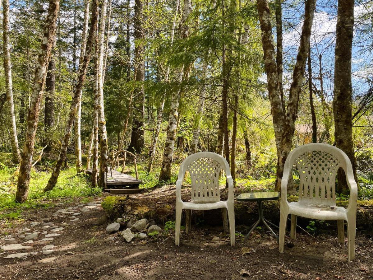 Mt Rainier Little Green Cabin On Big Creek! أشفورد المظهر الخارجي الصورة