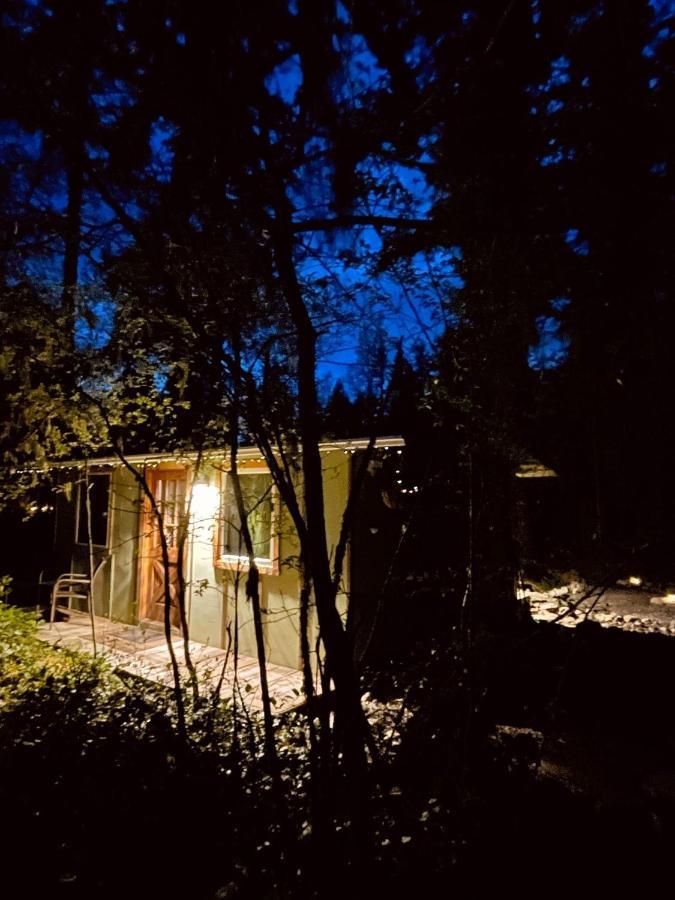 Mt Rainier Little Green Cabin On Big Creek! أشفورد المظهر الخارجي الصورة