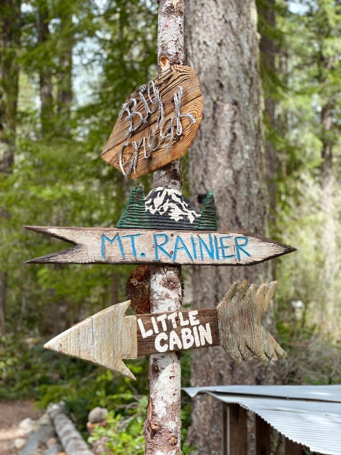 Mt Rainier Little Green Cabin On Big Creek! أشفورد المظهر الخارجي الصورة