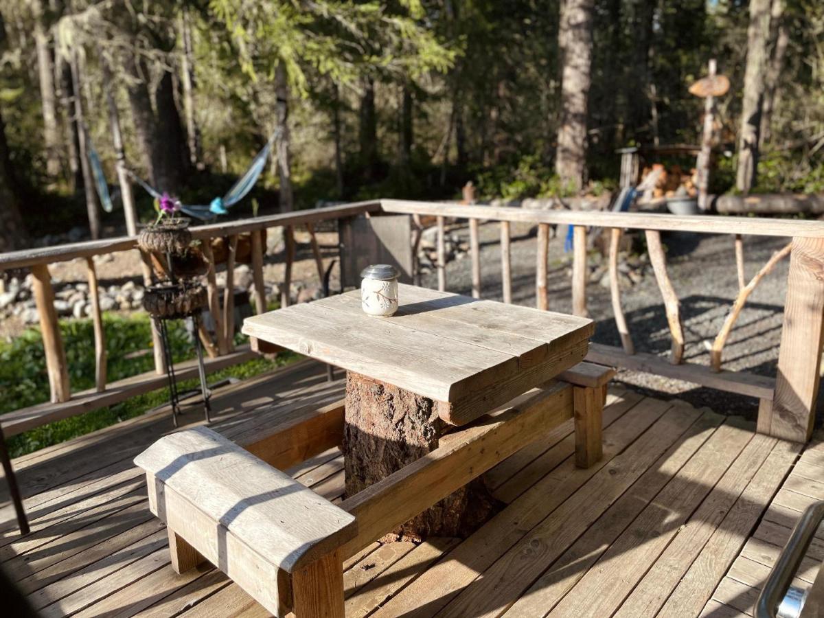 Mt Rainier Little Green Cabin On Big Creek! أشفورد المظهر الخارجي الصورة