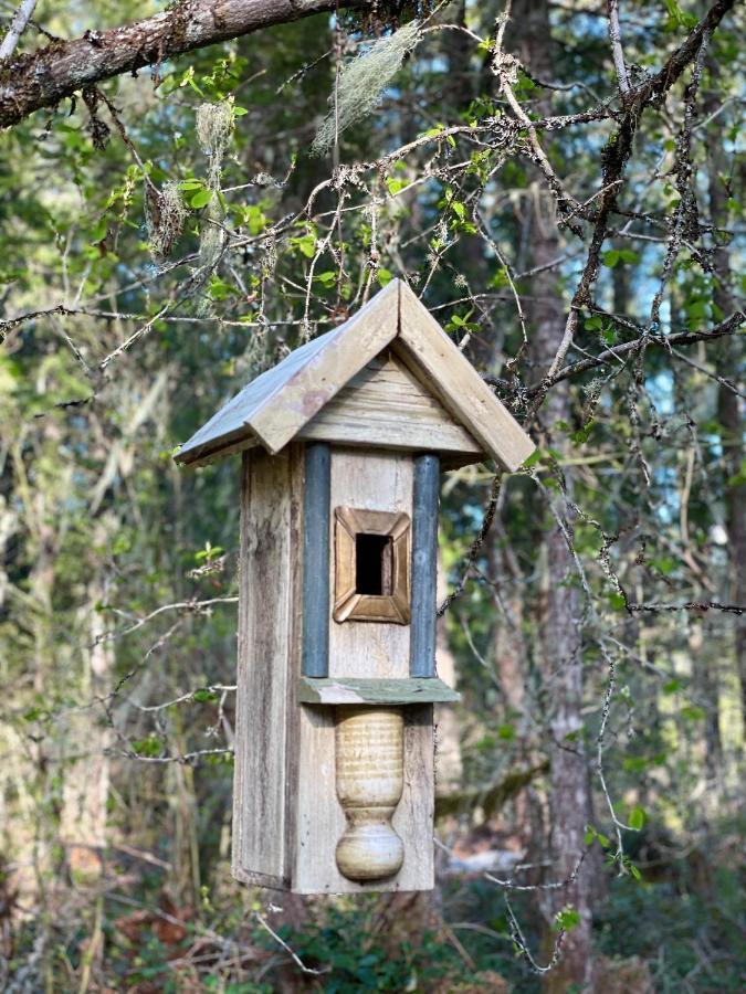 Mt Rainier Little Green Cabin On Big Creek! أشفورد المظهر الخارجي الصورة