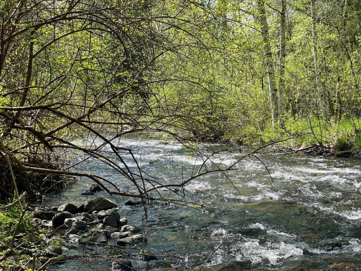 Mt Rainier Little Green Cabin On Big Creek! أشفورد المظهر الخارجي الصورة