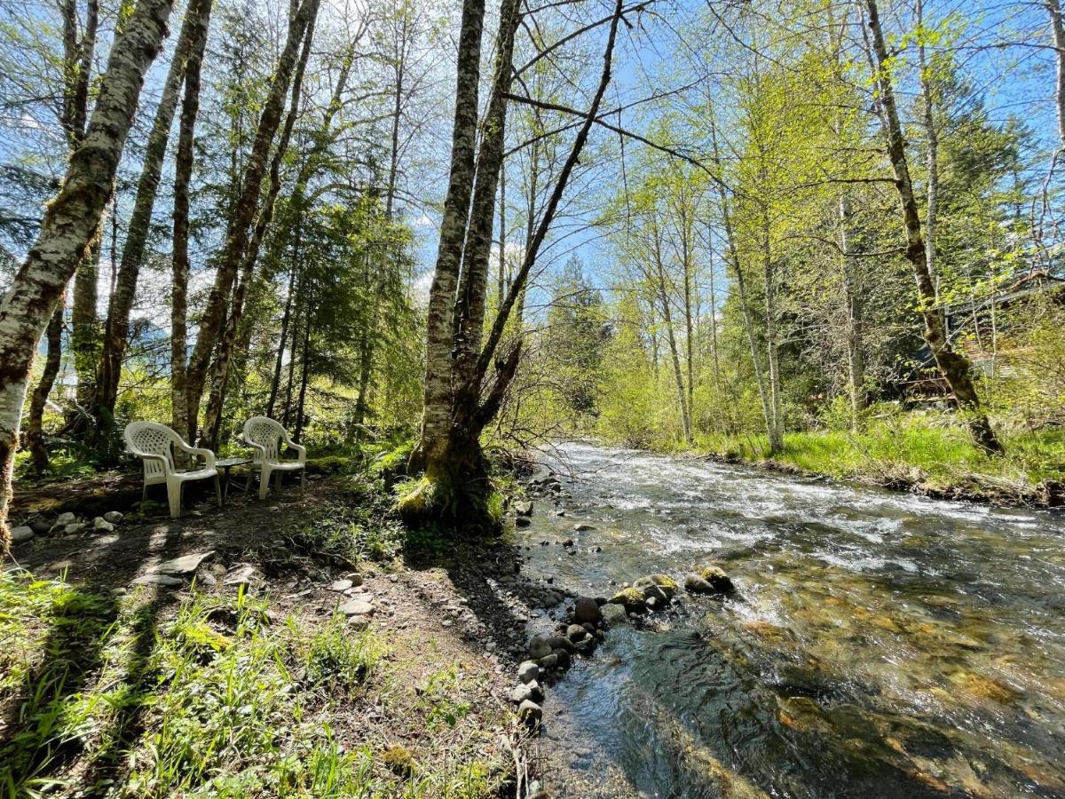 Mt Rainier Little Green Cabin On Big Creek! أشفورد المظهر الخارجي الصورة