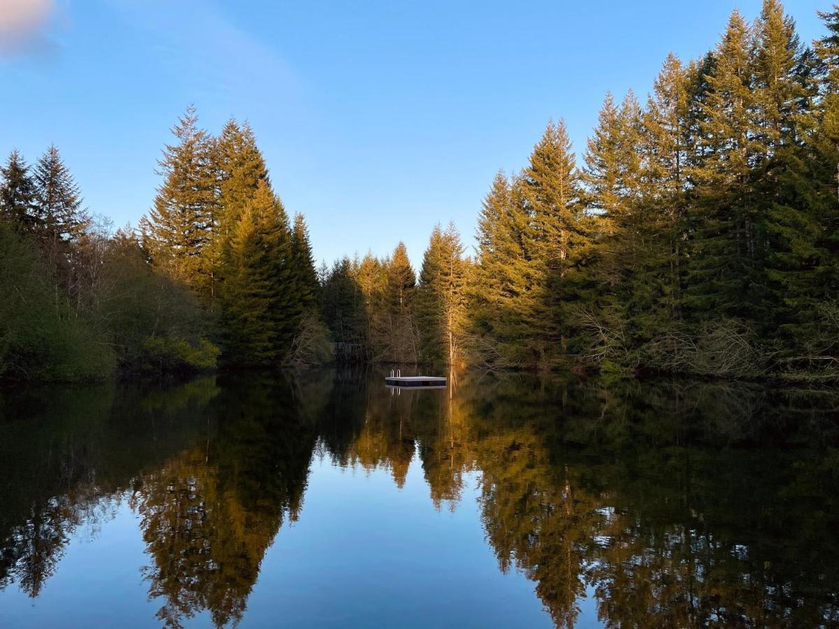 Mt Rainier Little Green Cabin On Big Creek! أشفورد المظهر الخارجي الصورة
