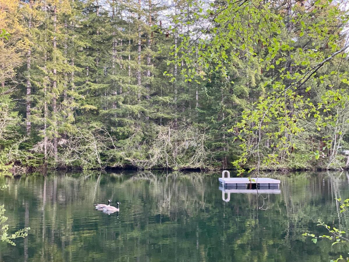 Mt Rainier Little Green Cabin On Big Creek! أشفورد المظهر الخارجي الصورة