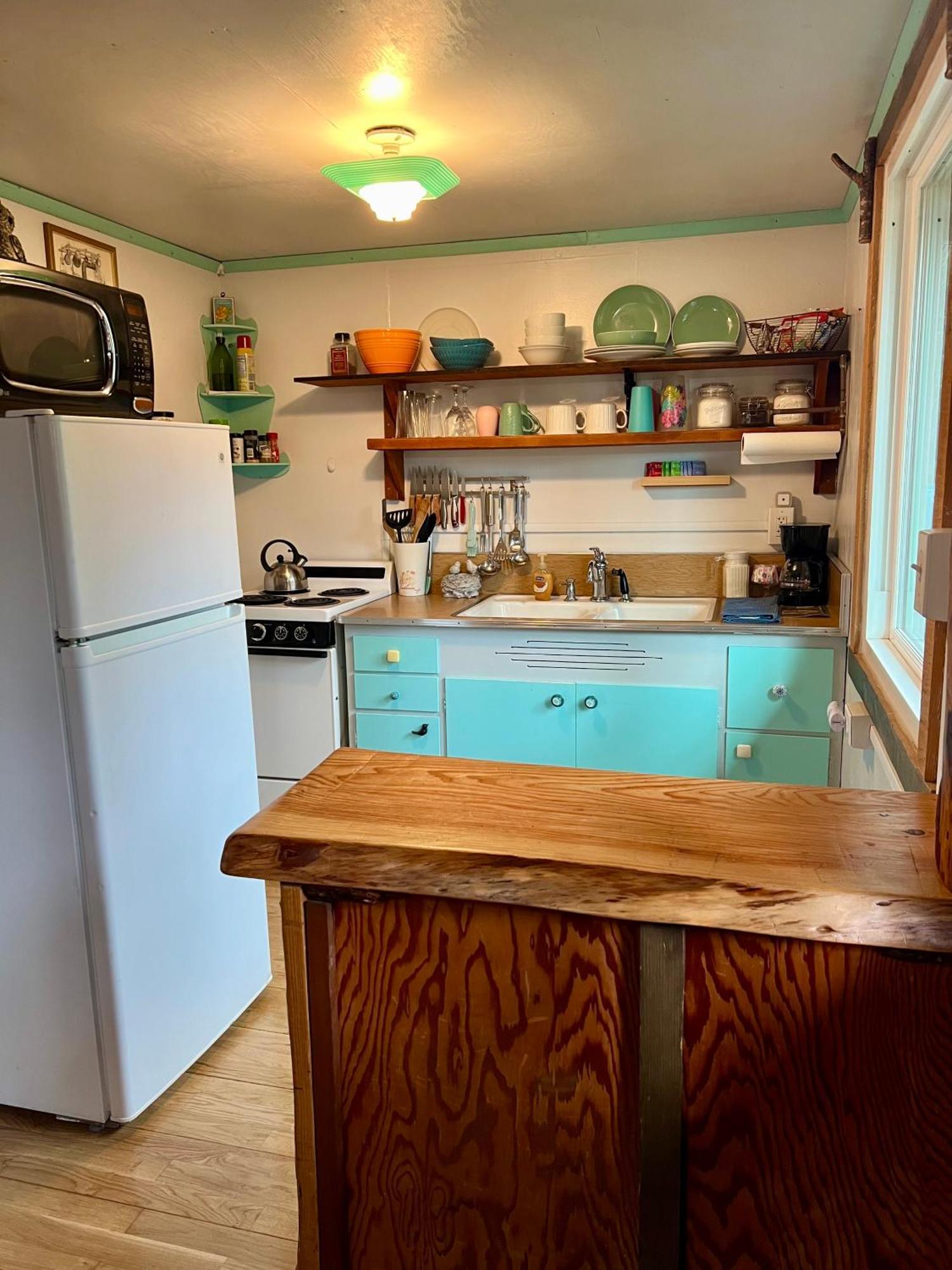 Mt Rainier Little Green Cabin On Big Creek! أشفورد المظهر الخارجي الصورة