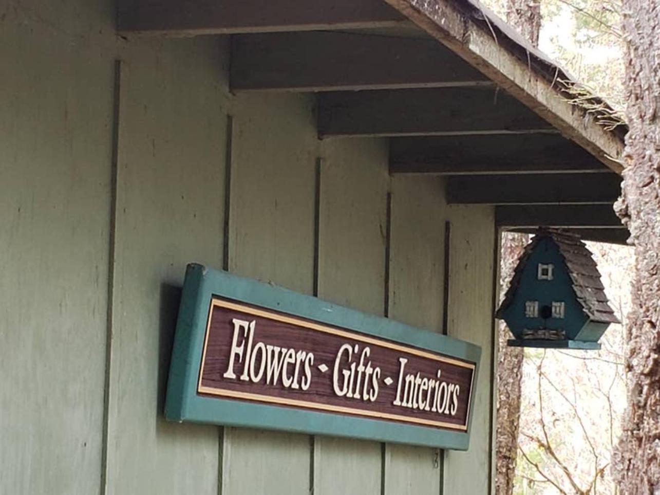 Mt Rainier Little Green Cabin On Big Creek! أشفورد المظهر الخارجي الصورة